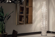  Cactus.  Slamp, .   .     - , 