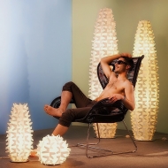 Cactus.  Slamp, .   .     - , 