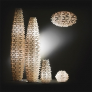  Cactus.  Slamp, .   .     - , 