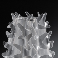  Cactus.  Slamp, .   .     - , 