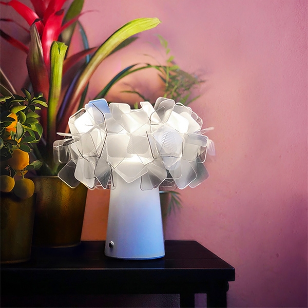 Clizia, Slamp.    .