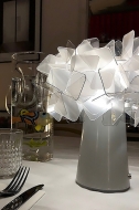  Clizia.  Slamp, .    .    .