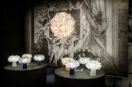  Clizia.  Slamp, .    .    .