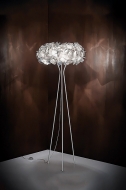  Clizia.  Slamp, .   .     - ,   