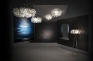  Clizia.  Slamp, .   .     - ,   