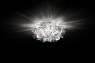  Clizia.  Slamp, .   .     - ,   