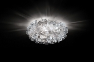  Clizia.  Slamp, .   .     - ,   