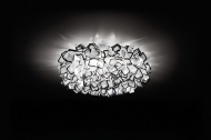 Clizia.  Slamp, .   .     - ,   