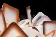  Clizia.  Slamp, .   .     - ,   