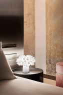  Clizia.  Slamp, .    .   ,   