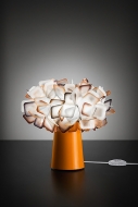  Clizia.  Slamp, .    .   ,   