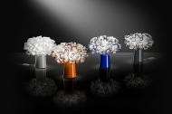 Clizia.  Slamp, .    .   ,   