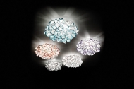  Clizia.  Slamp, .    .   ,   
