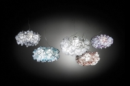  Clizia.  Slamp, .    .   ,   