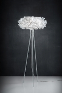  Clizia.  Slamp, .    .   ,   
