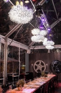  Clizia.  Slamp, .    .   ,   