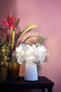  Clizia.  Slamp, .    .   ,   