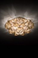  Drusa.  Slamp, .   .     - ,   