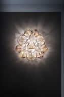  Drusa.  Slamp, .   .     - ,   