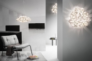  Drusa.  Slamp, .   .     - ,   