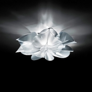  &#201;toile.  Slamp, .     .     