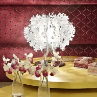  Fiorellina.  Slamp, .    .     - , 