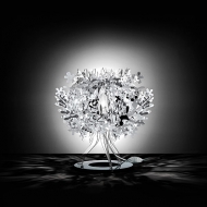  Fiorellina.  Slamp, .    .     - , 