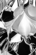  Flora.  Slamp, .   .     - ,  