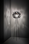  Flora.  Slamp, .   .     - ,  