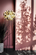  Flora.  Slamp, .   .     - ,  