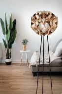  Flora.  Slamp, .   .     - ,  
