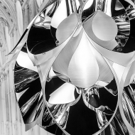  Flora.  Slamp, .    .        