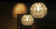  Flora.  Slamp, .    .        