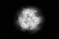  Hanami.  Slamp, .   .     - ,  
