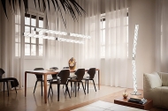  Hugo.  Slamp, .    .     - , 