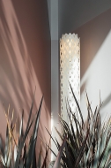  Charlotte.  Slamp, .    .     - , 