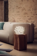  Veli.  Slamp, .    .     - , 