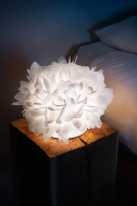  Veli Foliage.  Slamp, .      ,    . 