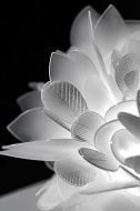  Veli Foliage.  Slamp, .      ,    . 