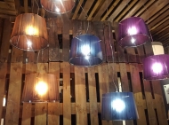  Woody.  Slamp, .    .    .