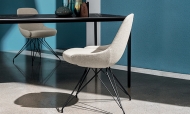  Cadira, Sovet.    ,    .   ,  , . 