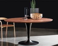  Flute, Sovet.    -    .  , , ,  . 