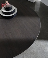  Totem, Sovet.    -    .  , , ,  . 