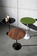  Tulip, Sovet.    .  , , ,  .    - 