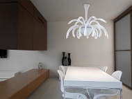  Phoenix,  Sylcom, .   .     - ,   