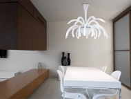  Phoenix,  Sylcom, .     - ,    , 