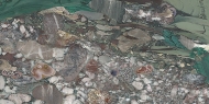  Gaia.  - Tecnografica, .   .     , , 