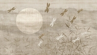  Japandi.  - Tecnografica, .   .       