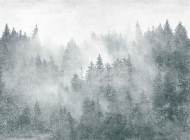  Landscapes.  - Tecnografica, .   .      