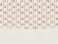  Mid-Century.  - Tecnografica, .     .     